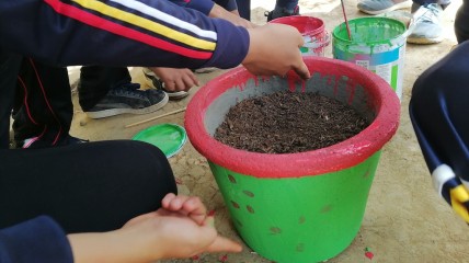 🌱 Tweede leven voor ecofilters: van water tot bloemenpracht